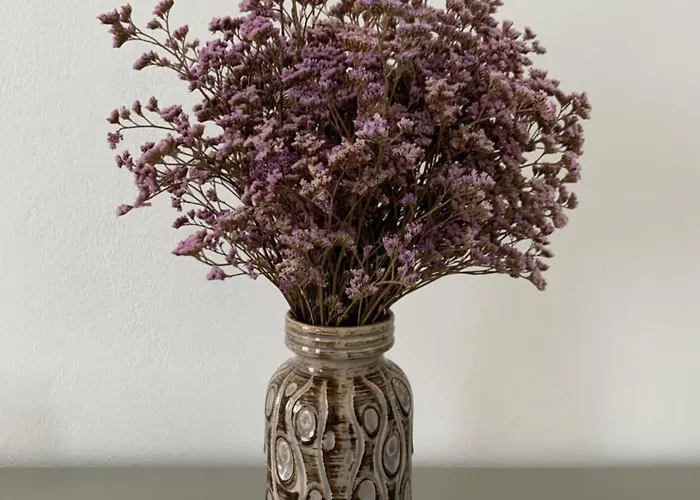 Charming Apartment Cluj-Napoca